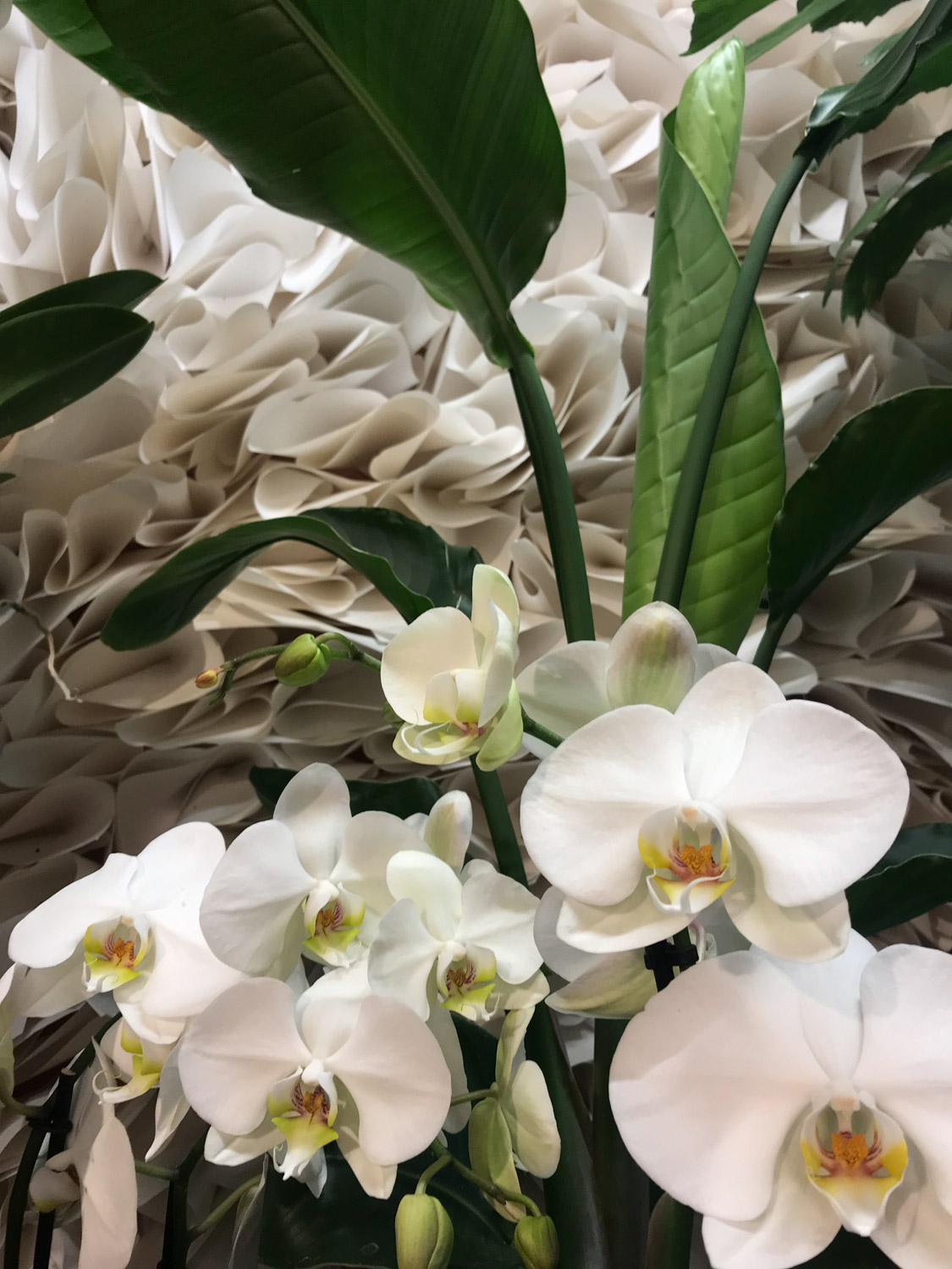 Les Fleuridees galerie bouquets 05