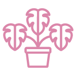 LesFleuridees icon 19