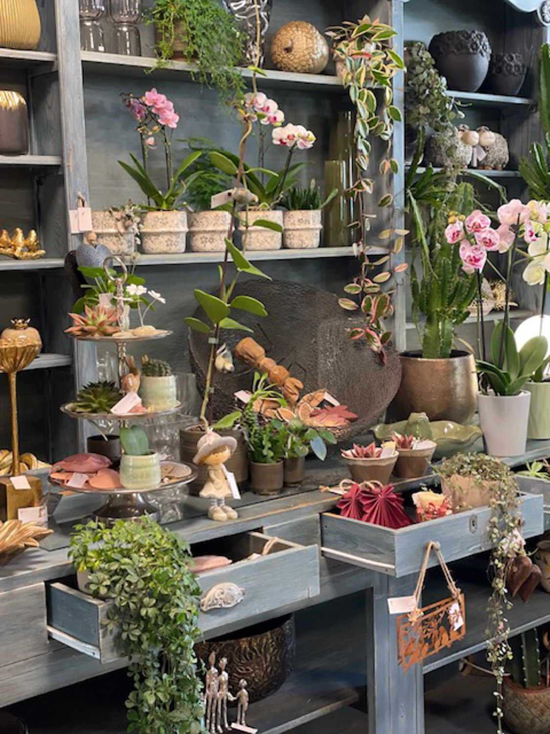 Les Fleuridees galerie boutique 09